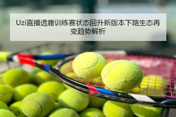 Uzi直播透露训练赛状态回升新版本下路生态再变趋势解析